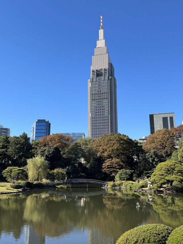 新宿一日遊：東京繁華與靜謐的交響曲