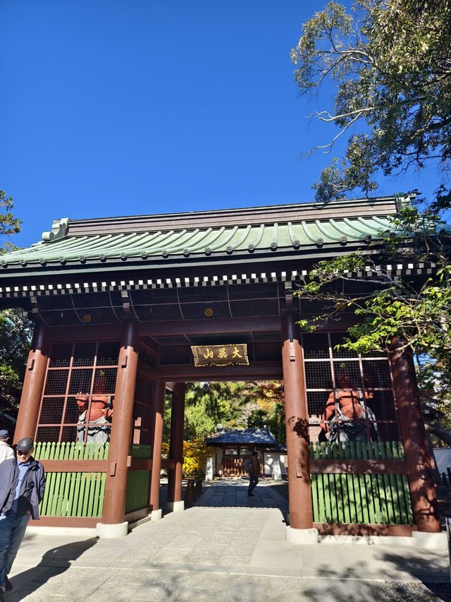 參拜日本第二高的佛像