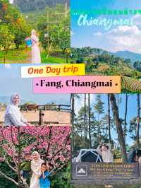 One day trip อ.ฝาง จ.เชียงใหม่