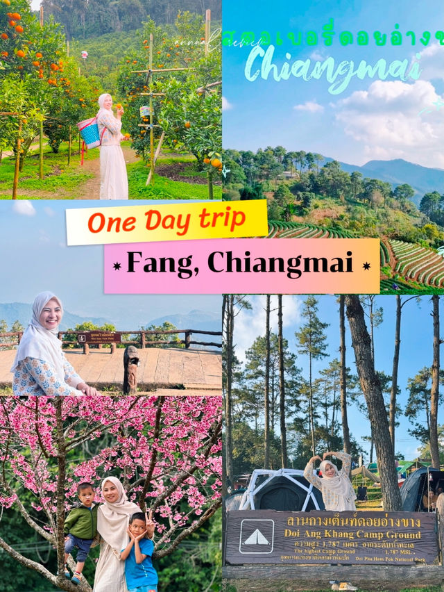 One day trip อ.ฝาง จ.เชียงใหม่