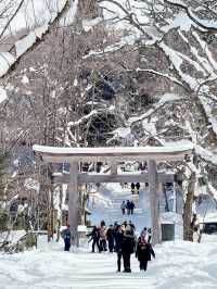 長野景點| 户隱神社(奧社) ~ 白雪中的杉樹林太美了！