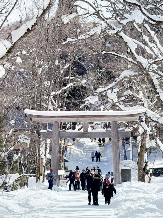 長野景點| 户隱神社(奧社) ~ 白雪中的杉樹林太美了！