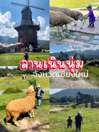 รวมที่เที่ยว แม่ริม เชียงดาว จังหวัดเชียงใหม่