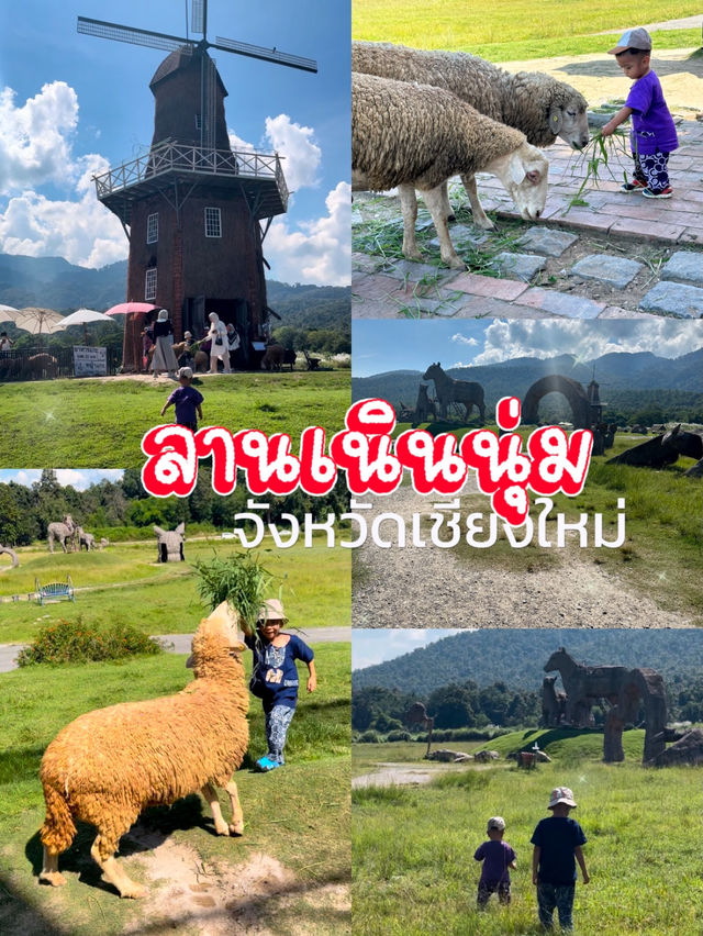 รวมที่เที่ยว แม่ริม เชียงดาว จังหวัดเชียงใหม่