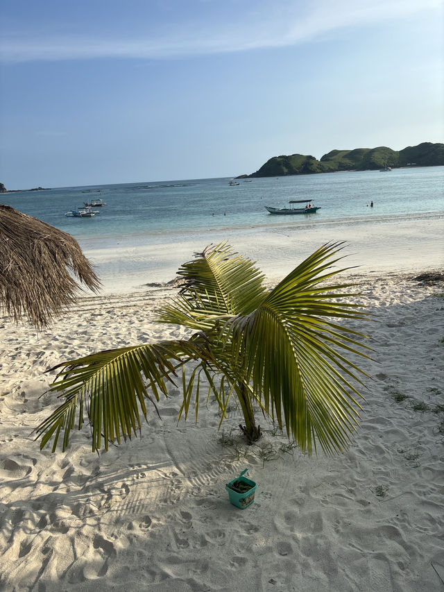 Dinner with Your Toes in the Sand at Café Warna 🌊🍽️