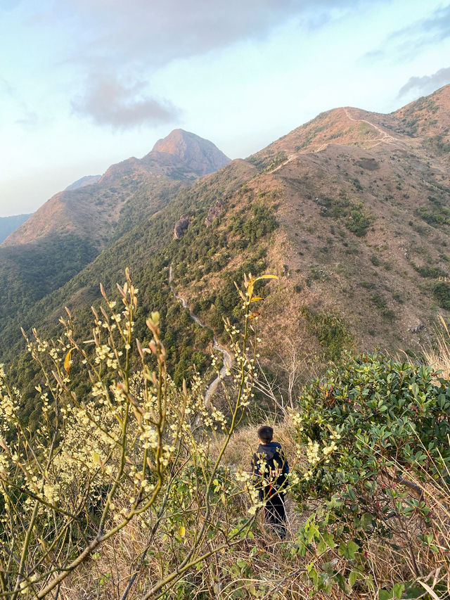 大金鐘⛰️，西貢的金字塔山