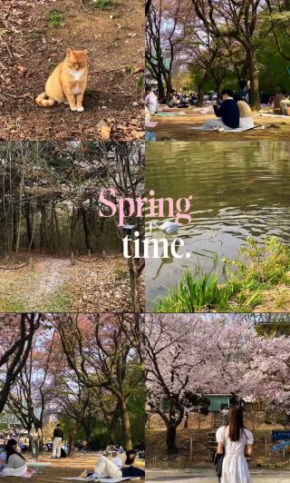 Spring breeze in KAIST
