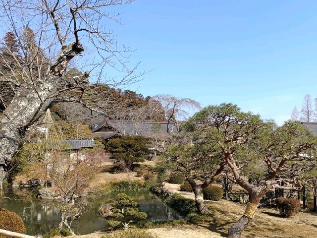 快閃日本仙台：宮城縣志波彥神社