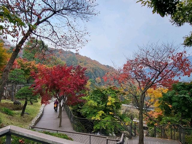봄, 가을에 가장 아름다운 곳