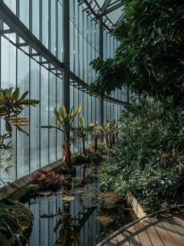 【新宿】新宿御苑・熱帯館：トロピカルな世界を体験🌿🌺