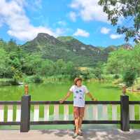 🌲 ไร่วนาทิพย์ ☕️ คาเฟ่สไตล์บ้านกลางหุบเขา