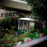 Best way to explore victoria peak