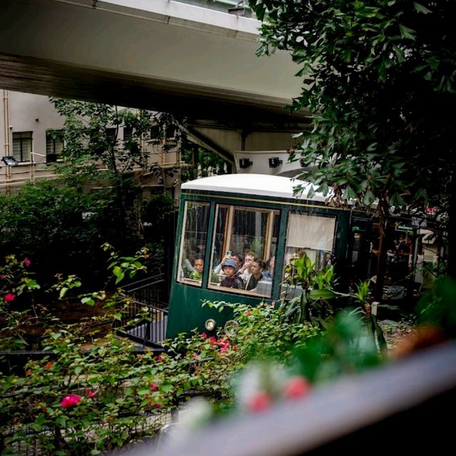 Best way to explore victoria peak