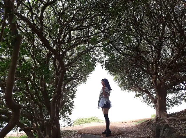 📍 제주시 1박 2일 여행 코스