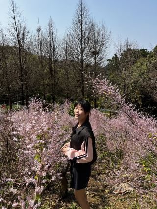 季節限定～唯美浪漫的粉紅花海