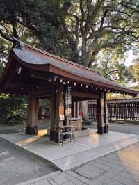 Meiji Shrine ศาลเจ้าแห่งความสงบใจกลางโตเกียว