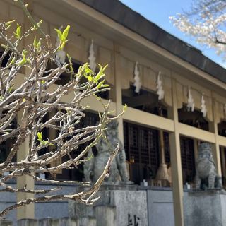 Kushida Shrine