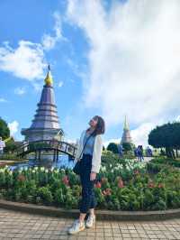 Chiang Mai 4 Days 2 Nights: Doi Suthep – Doi Pui – Doi Inthanon🇹🇭