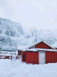 超美的羅弗敦群島雪景