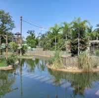 ボア・ジ・フリオ公園（ブラジル・リオデジャネイロ） – 静寂の中に広がる熱帯植物の楽園 