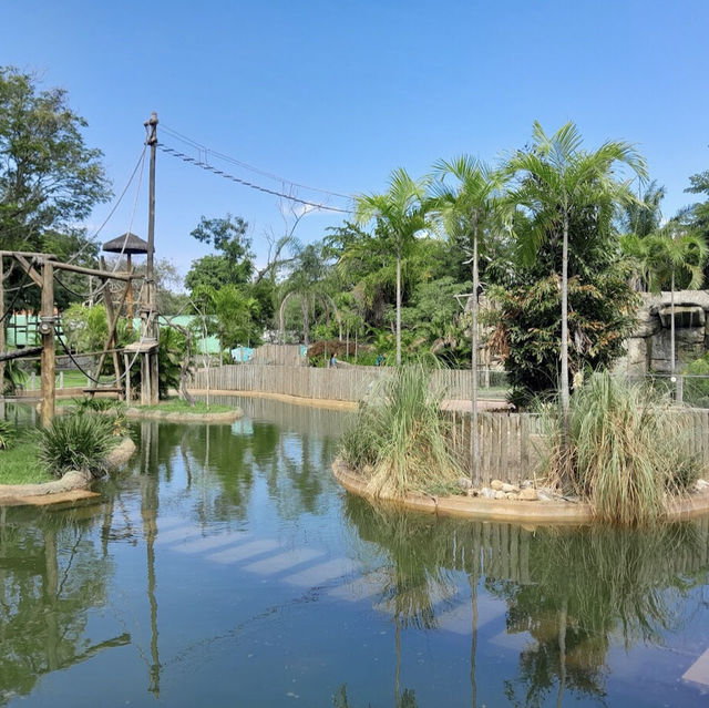 ボア・ジ・フリオ公園（ブラジル・リオデジャネイロ） – 静寂の中に広がる熱帯植物の楽園 