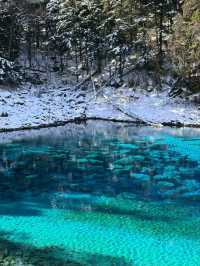 Jiuzhaigou: A Natural Wonderland of Beauty, Culture, and Tranquility