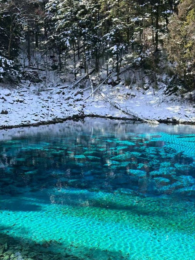 Jiuzhaigou: A Natural Wonderland of Beauty, Culture, and Tranquility