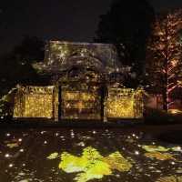 Kodaiji's Spring Illumination Night Show