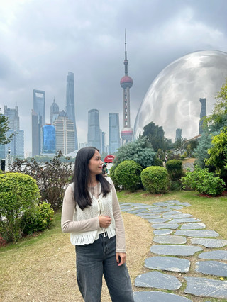 前往中國（上海）前的準備