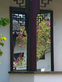 Suzhou Qu Yuan– The Humble Retreat of a Literary Giant
