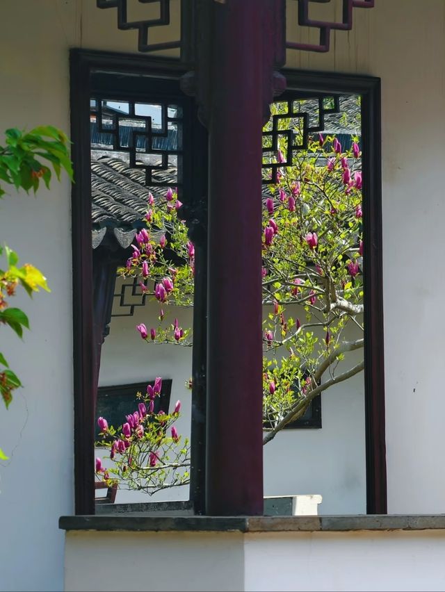 Suzhou Qu Yuan– The Humble Retreat of a Literary Giant