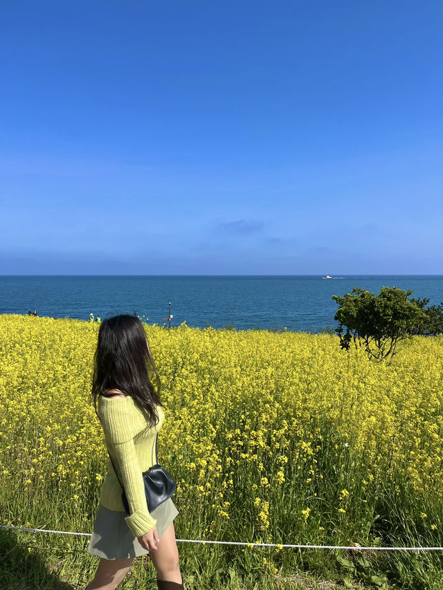 울산 숨은 꽃놀이스팟