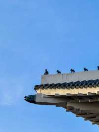 From Palaces to Alpacas: A Whirlwind Seoul Adventure