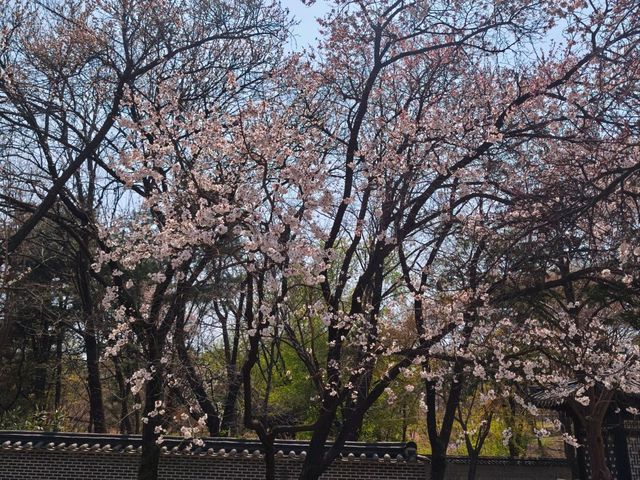 昌德宮