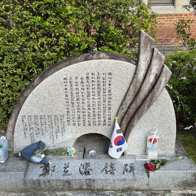 교토 벚꽃여행!