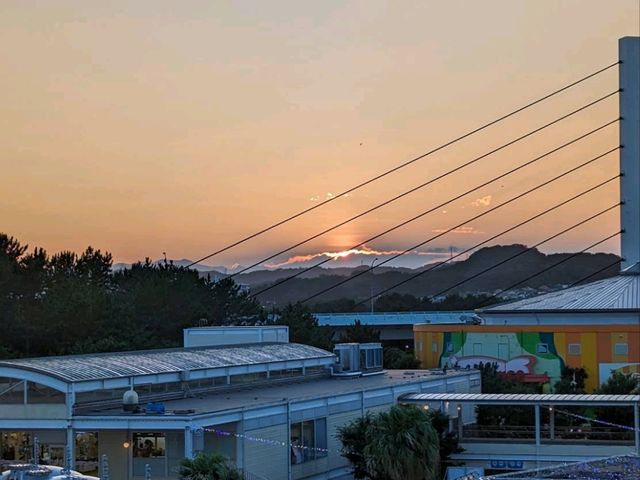 八景島シーパラダイスでアクティビティを楽しむ