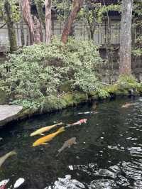 伊勢神宮是日本最具代表性的神道教神社