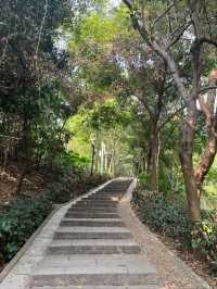 Lianshan Flower Park Where Urban Life Blooms with Nature