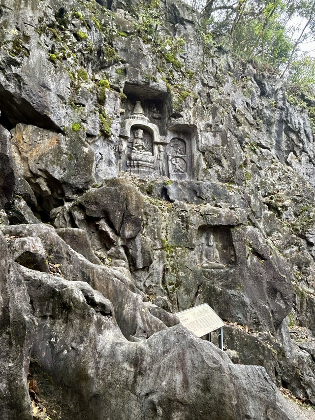 Lingyin Temple: Where Buddhas Dance in Forest Shadows 🌄🙏