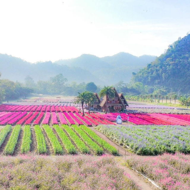 ถ่ายรูปวิวญี่ปุ่นเขาใหญ่กัน