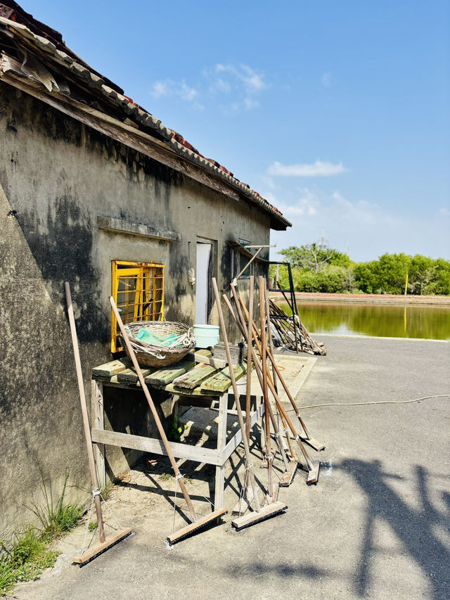 🧂 探訪台南安順鹽場的鹽之旅