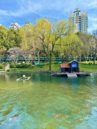 Xujiahui Park– Shanghai’s Urban Oasis with a Musical Twist