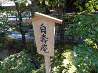 知恩院：京都の中心で心洗われるひととき