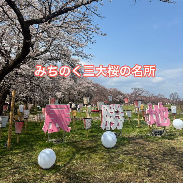 【岩手】この季節に見たい絶景🌸2025