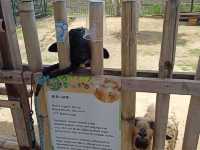 Batam Zoo Paradise