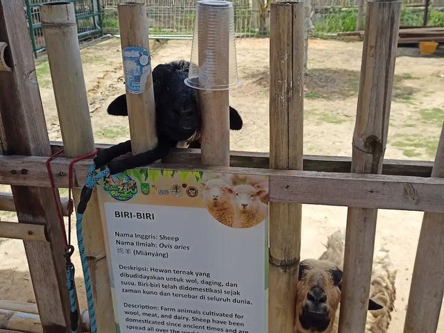 Batam Zoo Paradise