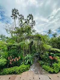A Gem in the Heart of Singapore: National Orchid Garden