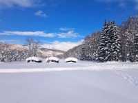 北海道旅遊🥳喜茂別路線雪場❄️自駕動力雪橇體驗分享😍欣賞羊蹄山沿途雪景🗻