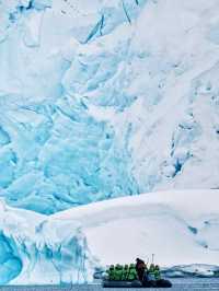 Antarctica Guide 🇦🇶 | Real Review of ATLAS World Voyager Expedition Cruise