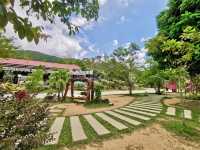 🐘 Chang Puak Elephant Camp Hat Yai: An Ethical Elephant Encounter in Nature 🍃